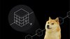 Groth16-powered Smart Contracts on Dogecoin