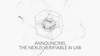Making Verifiable AI a Reality