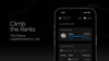 Climb the Ranks: The Nexus Leaderboard is Live
